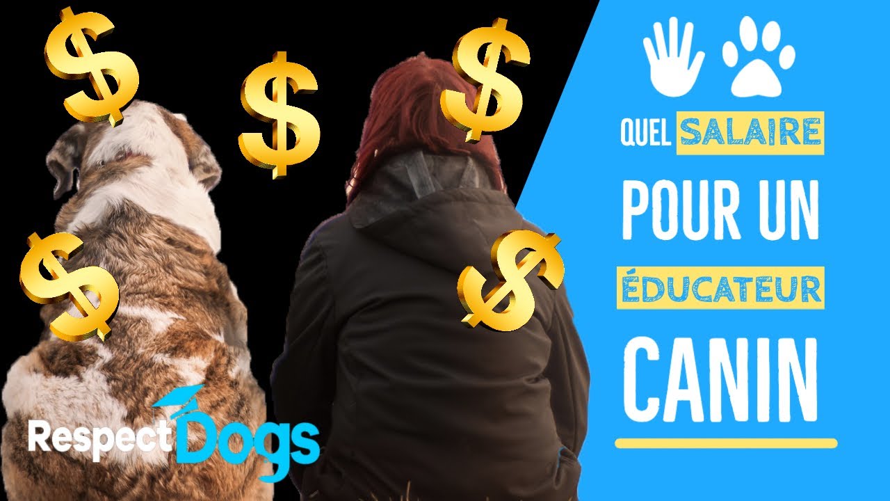 QUEL EST LE SALAIRE D'UN EDUCATEUR CANIN ?