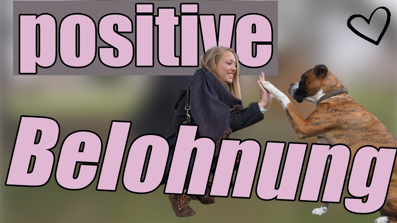 Positive Belohnung - Hund mit Leckeres vollstopfen??