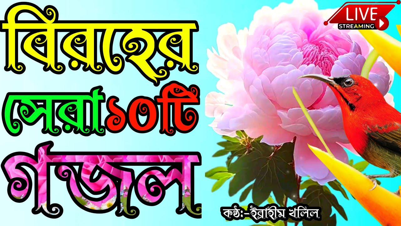 🔴Live Gojol পরকালের গজল গুলি ঘুমানোর আগে শুনুন চোখ দিয়ে পানি চলে আসবে || gojol || Emotional  Gojol