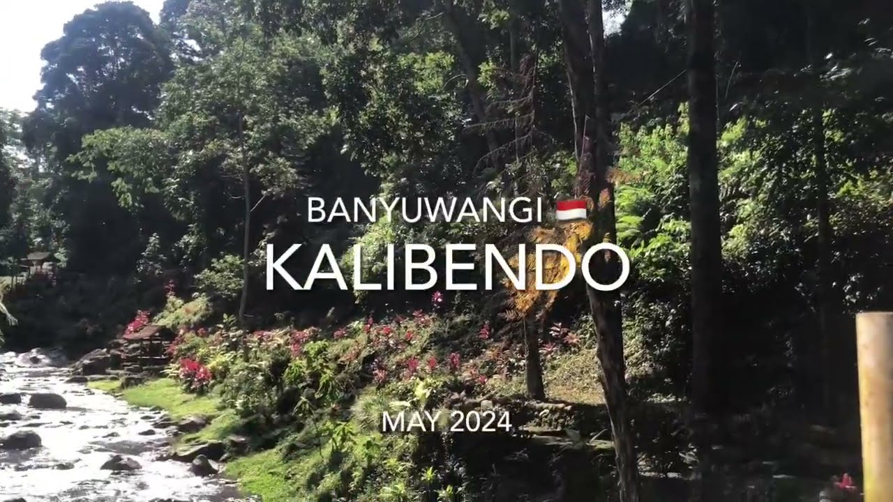 TRAVEL: Kalibendo River & Waterfall, Banyuwangi Indonesia 🇮🇩