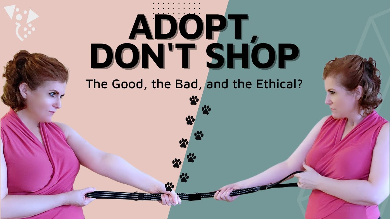 Adopt, Don't Shop - the Good, the Bad and the Ethical?
