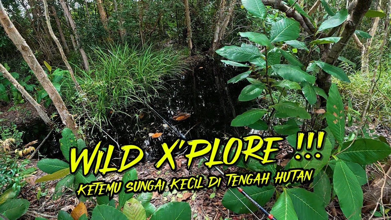 XPLORE IN TO THE WILD !!! SELALU SIAP BERBAGAI TANTANGAN NYA
