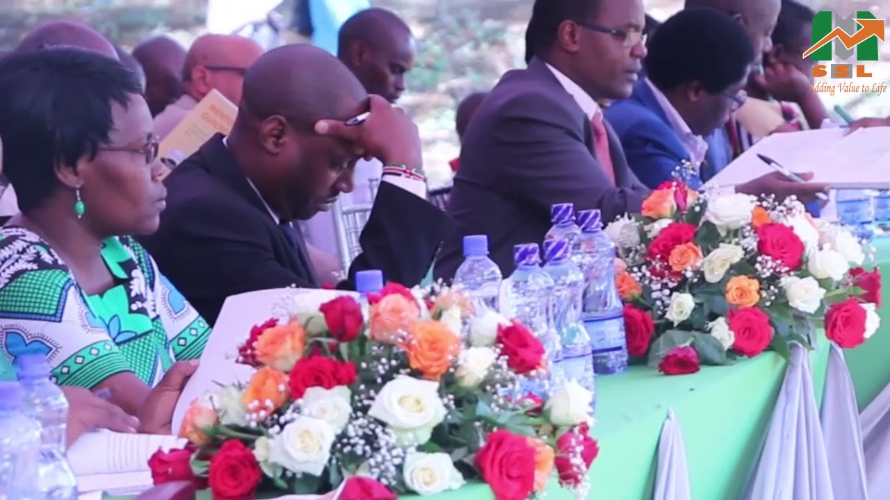 Mentor Sacco Final