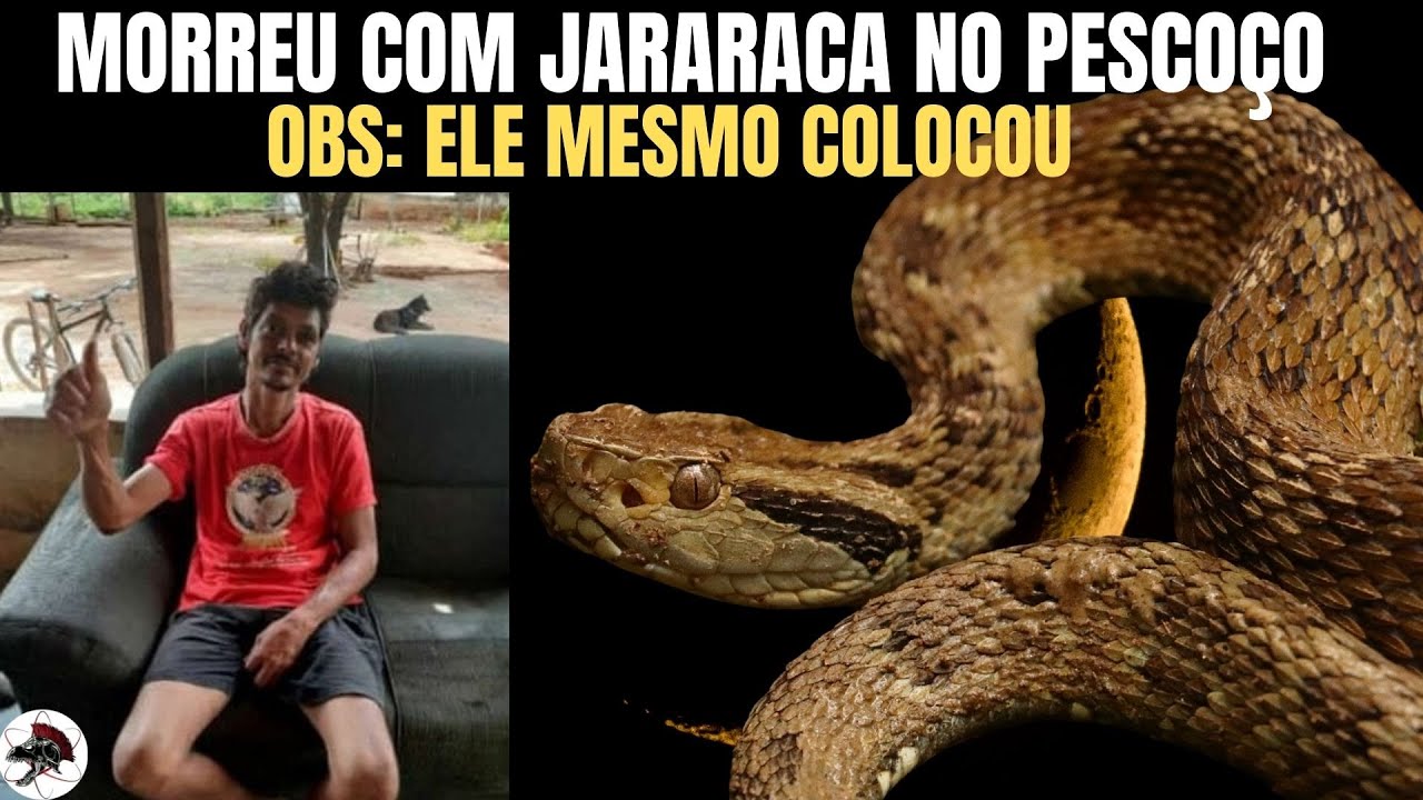 Morreu com Jararaca no pescoço,  ele mesmo colocou | Biólogo Henrique o Biólogo das Cobras