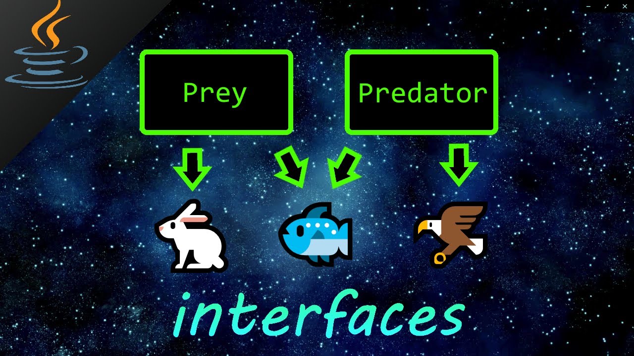 Java interface 🦅
