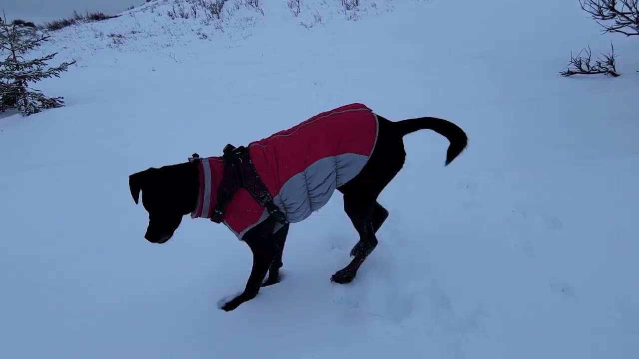LAZY MOUNTAIN (Winter Edition) 01/21/23