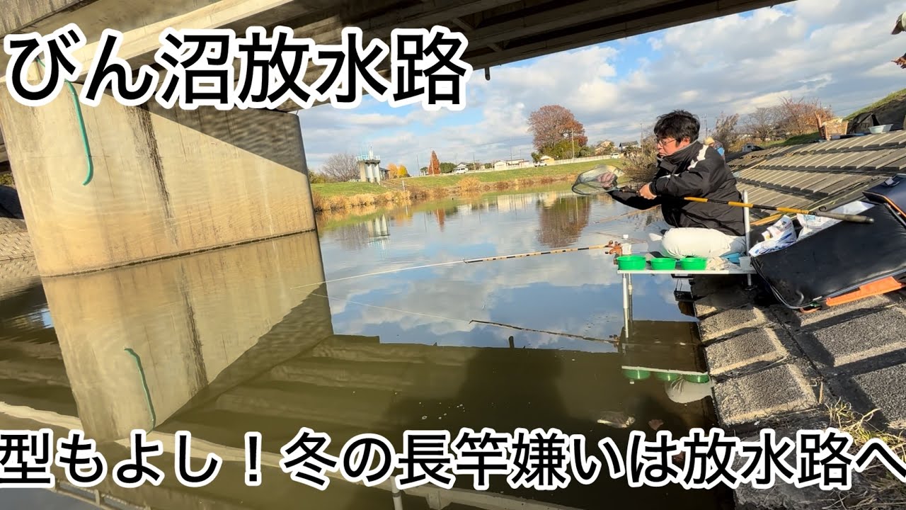 びん沼へらぶな釣り！長竿嫌いは放水路へ！隣では引っ掛け釣りでへらぶなお持ち帰り！美味しいのかなぁ？w