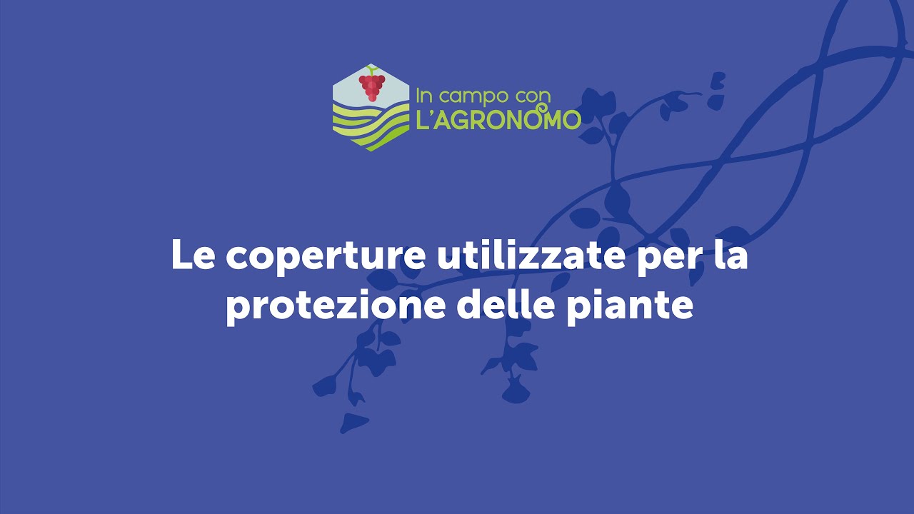 In campo con l'agronomo - 