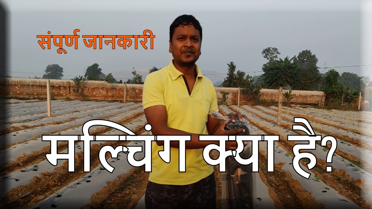मल्चिंग क्या है? IWhat is Mulching? ITypes of Mulching I (Inorganic Mulching Part-1)