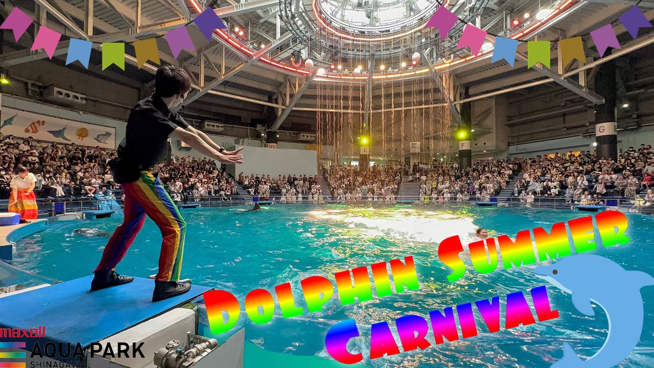 【完全版】マクセルアクアパーク品川 ドルフィンパフォーマンス（イルカショー）　デイVer.「Dolphin Summer Carnival」