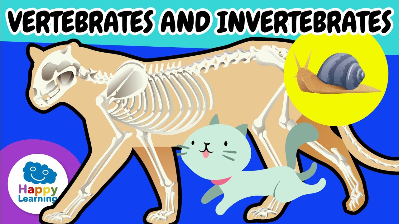 🐾✨ VERTEBRATE and INVERTEBRATE Animals | Educational Videos for Children | @HappyLearningENG