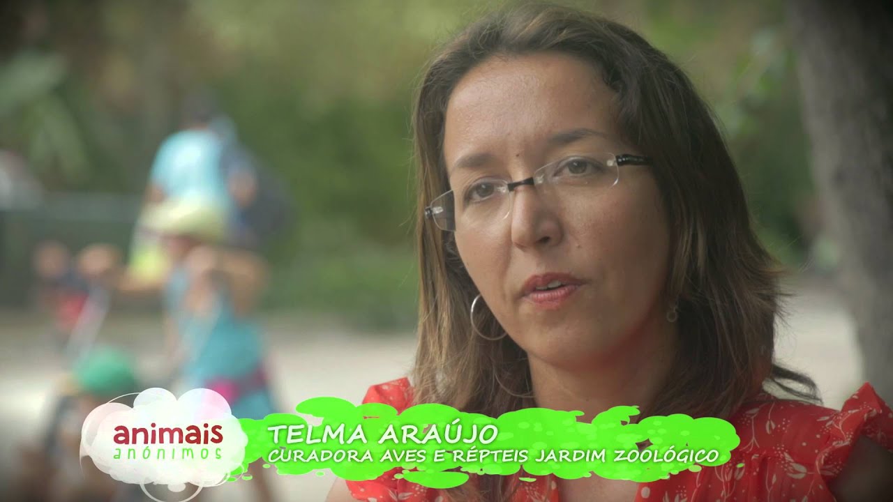 Tartaruga-estrela-indiana B.I. - Animais Anónimos | Jardim Zoológico