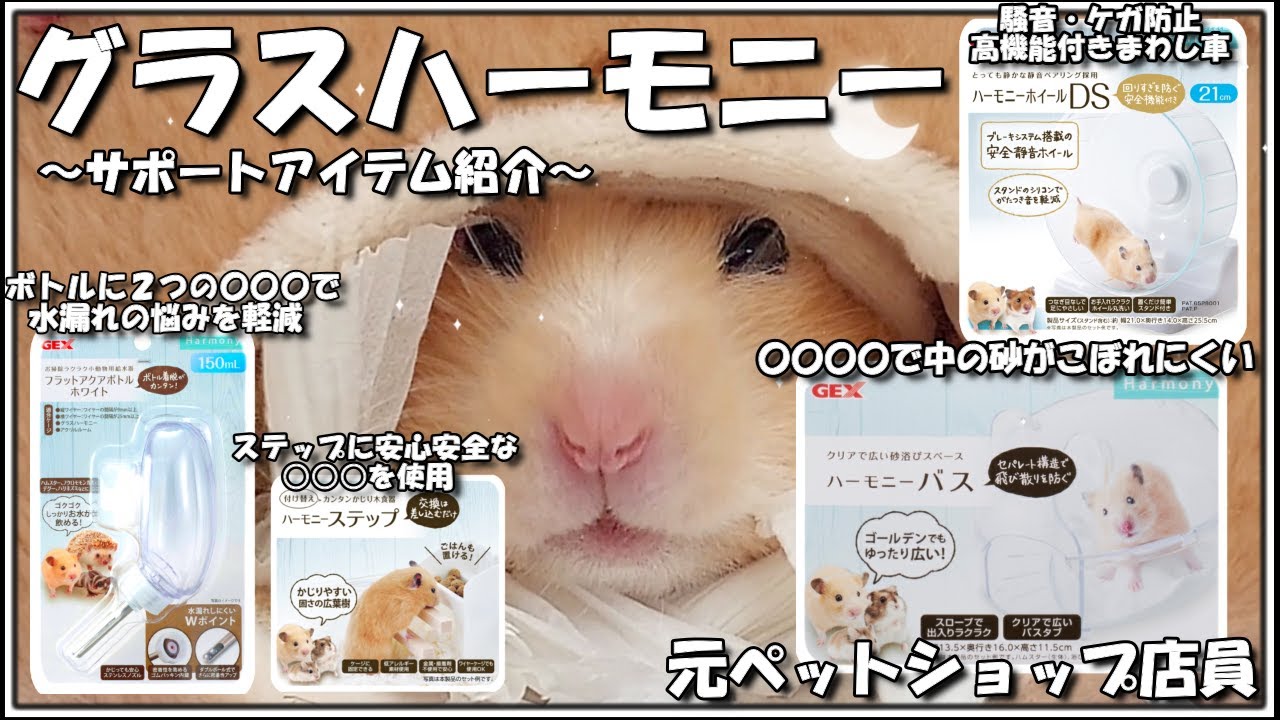 【元ペットショップ店員】見ると得するグラスハーモニーサポートアイテムのご紹介っ！！【持ってない人も見ると得】