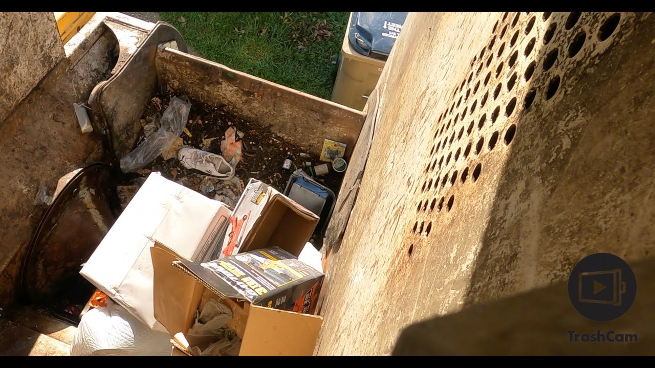 [‼️CHECK IT OUT‼️]. . . stubborn shoe 👟 VS  trash truck  🚛