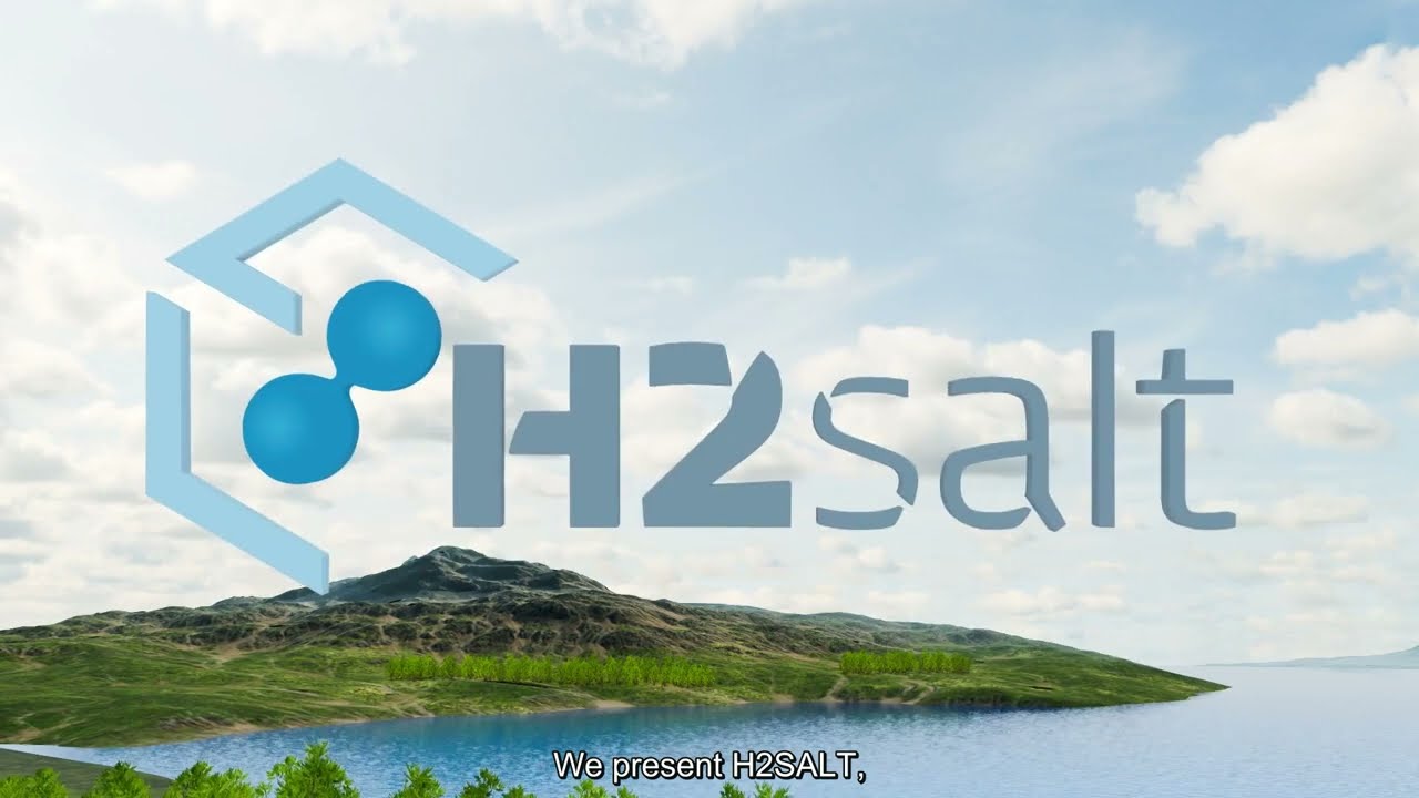 H2SALT - Desarrollo de soluciones para el almacenamiento subterráneo de H2 en cavernas de sal.