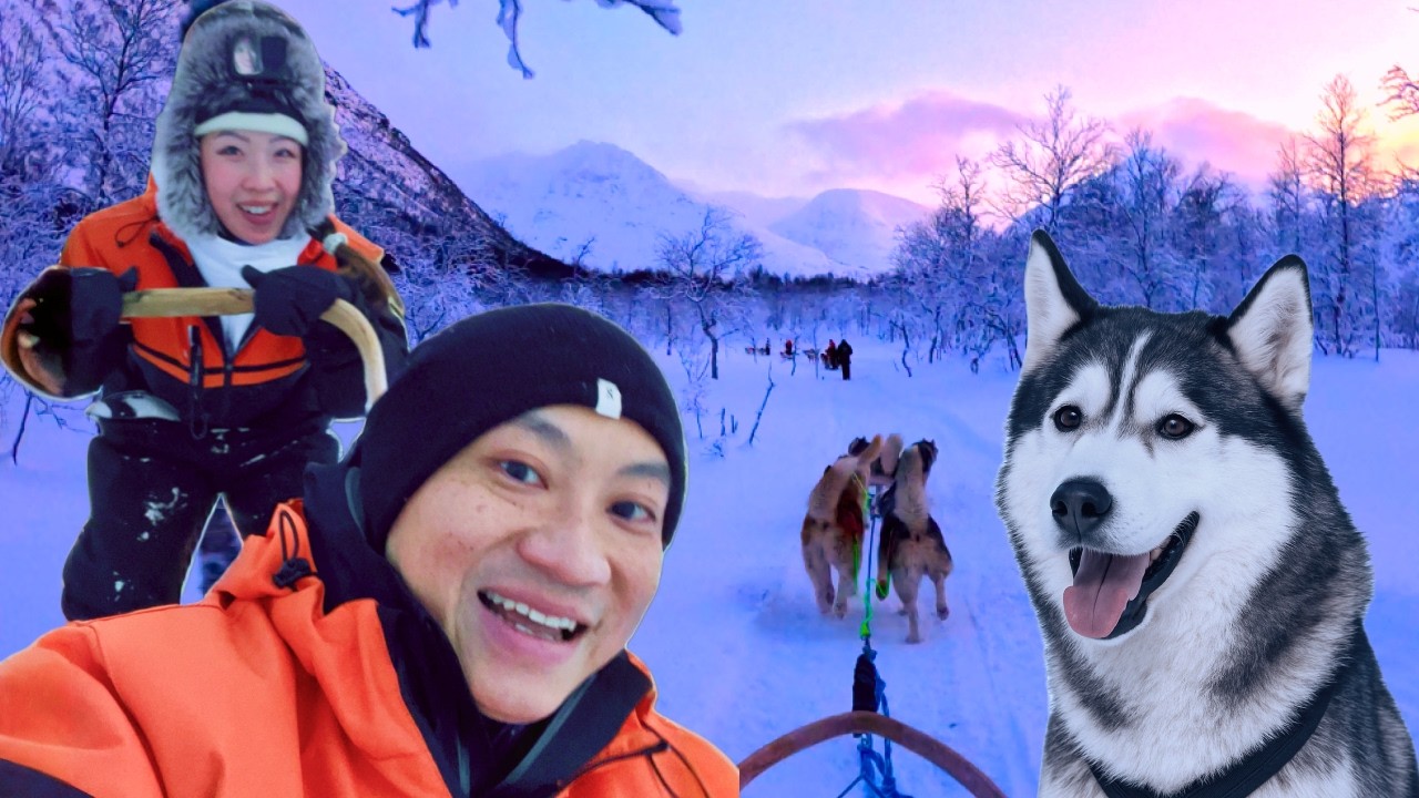 I Tried Husky Sledding And Regretted It. This Is What Went Wrong. | Camp Tamok Tromso