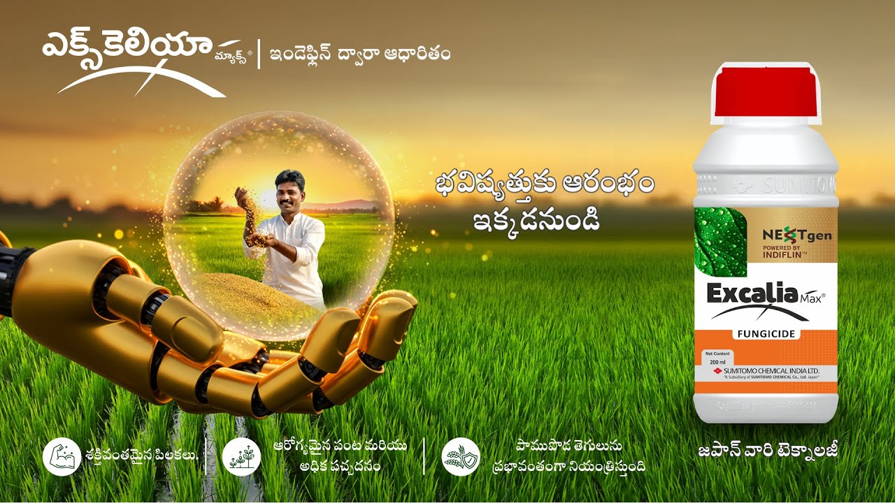 ఎక్స్కెలియా మ్యాక్స్® | INDIFLIN™ ఇండెప్లిన్ ద్వారా ఆధారితం 