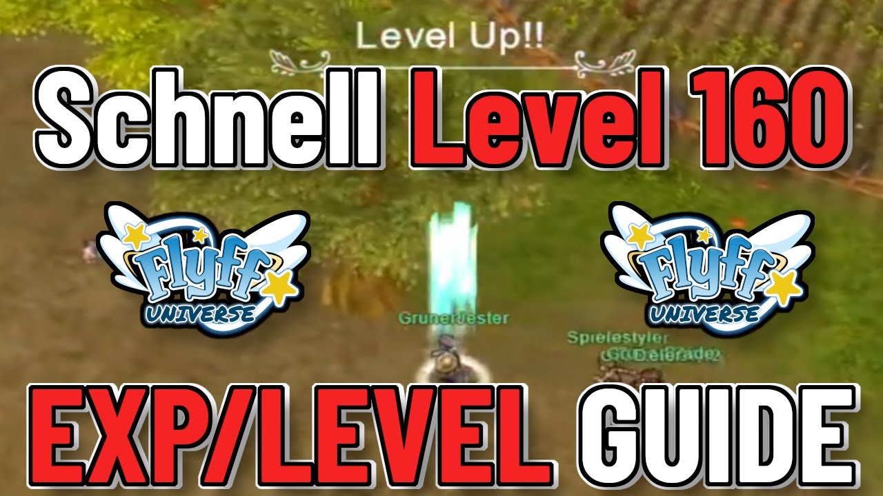 Flyff Universe - Schnell Level 160 erreichen Bester EXP/Level Guide f&uuml;r Flyff Universe