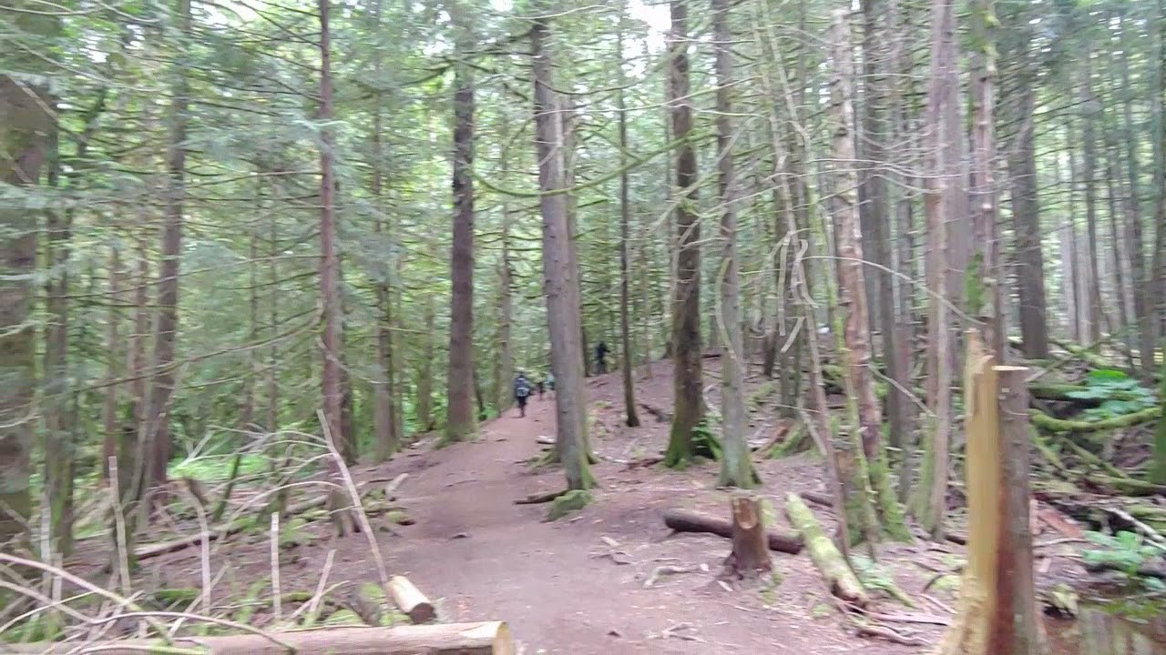 [Four Lakes Trail] Alice Lake