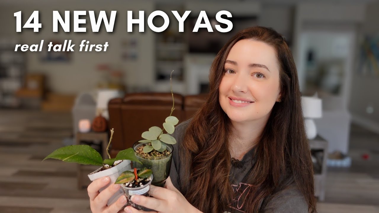 Real Talk, Then a Hoya Haul 🌿 | 14 New Additions for My Shop