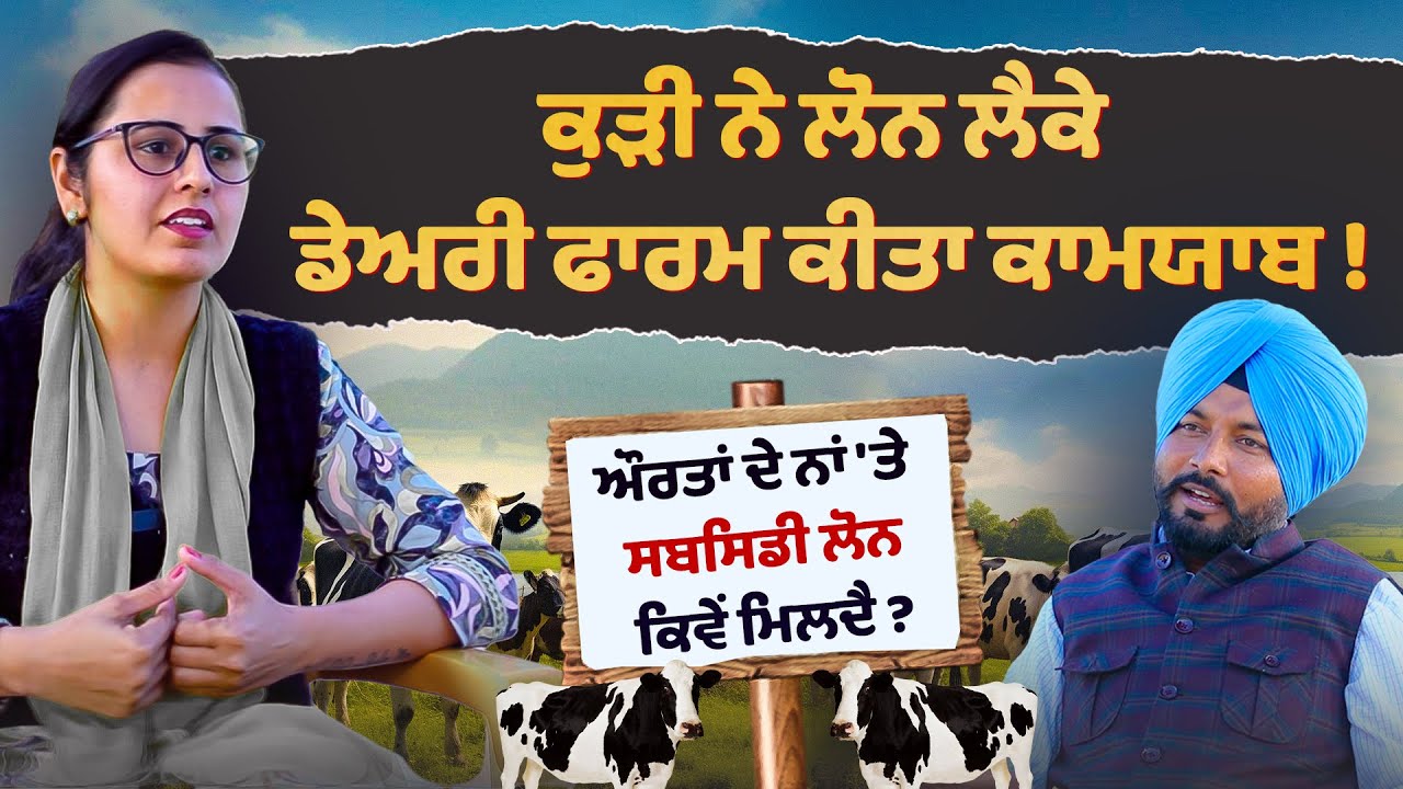 Dairy Farm Loan ਲੈਕੇ Farm ਕੀਤਾ ਕਾਮਯਾਬ ! Dairy farming bussines | Gurnadar Dairy farm | Sandeep Kaur