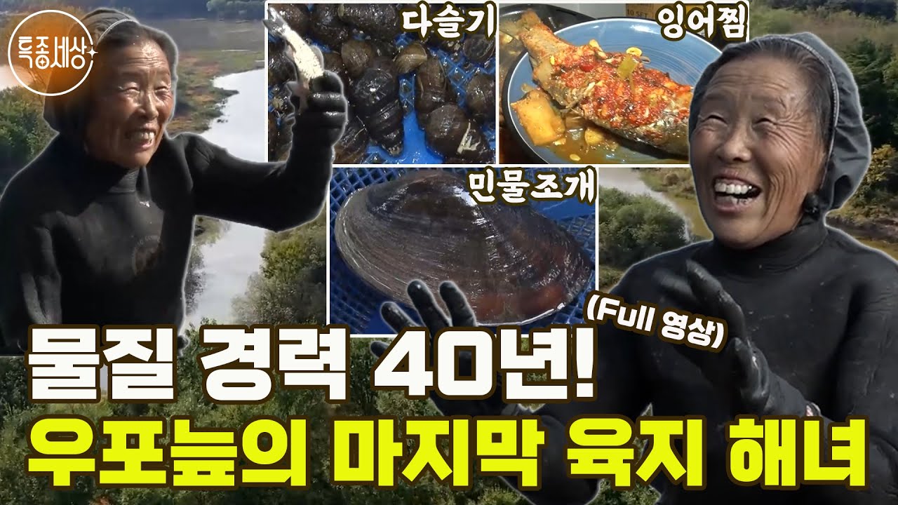 [특종세상] 