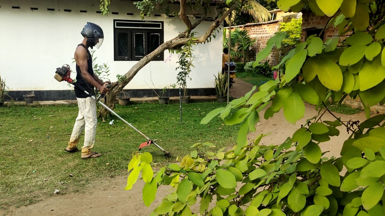 garden grass cutting | Mowing the lawn in a beautiful garden | Mowing the lawn in a flower garden  
