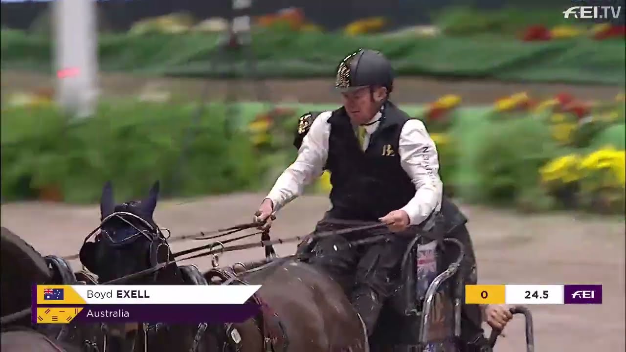 FEI Driving World Cup™ DRIVING GERMAN MASTER
