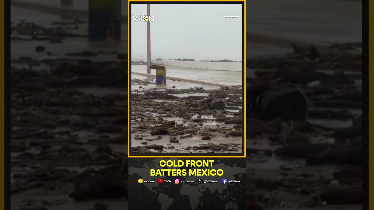 Ten Die, Streets Flood as Cold Front Batters Mexico's Veracruz
