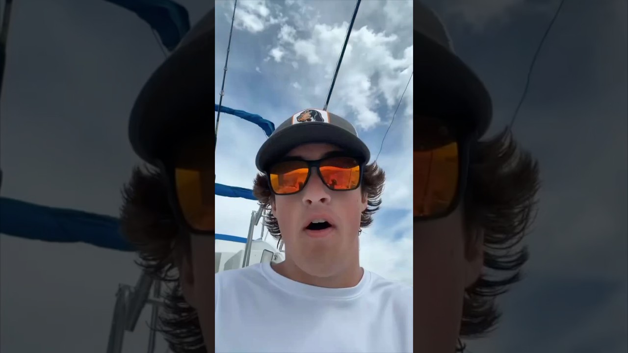 Этот тюлень запрыгнул в лодку, чтобы покататься 😂