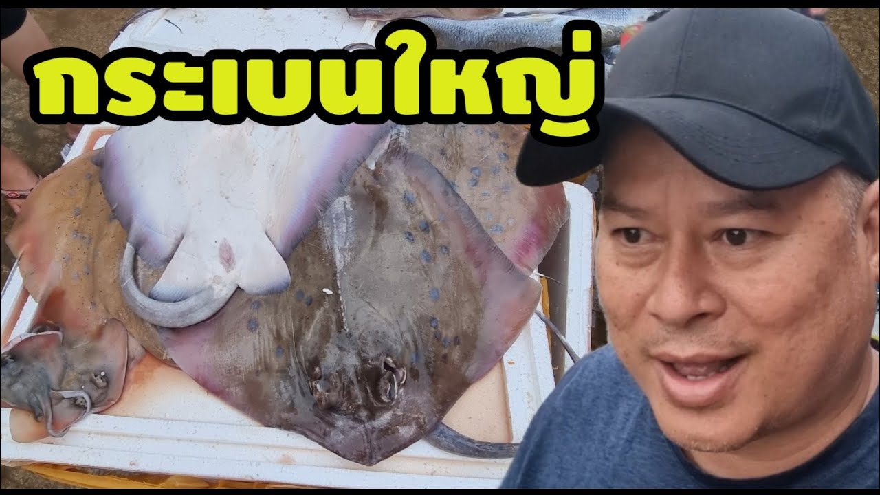 แบกเป้เขมรใต้ 21/41 : กระเบนใหญ่ ตลาดสดปลาทะเลยามเช้ากำปอด ซื้อพริกไทยกำปอด ฝากนารี