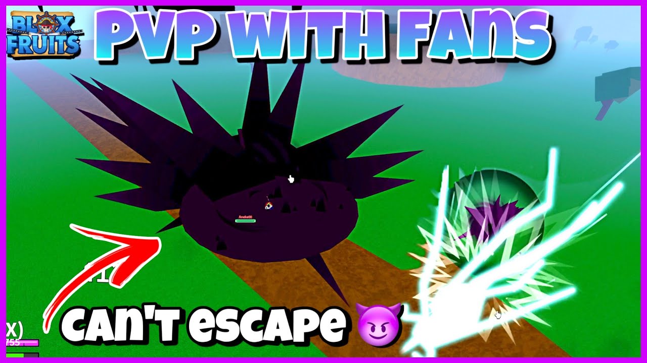 Pvp With FANS! *I DIED TO BUDDHA*  | Canvander, Dark V2, Superhuman Combo | Blox Fruits Part 2