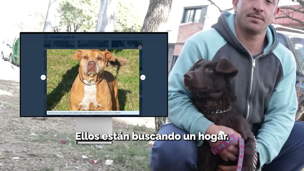 &iexcl;Sumate a la adopci&oacute;n responsable!