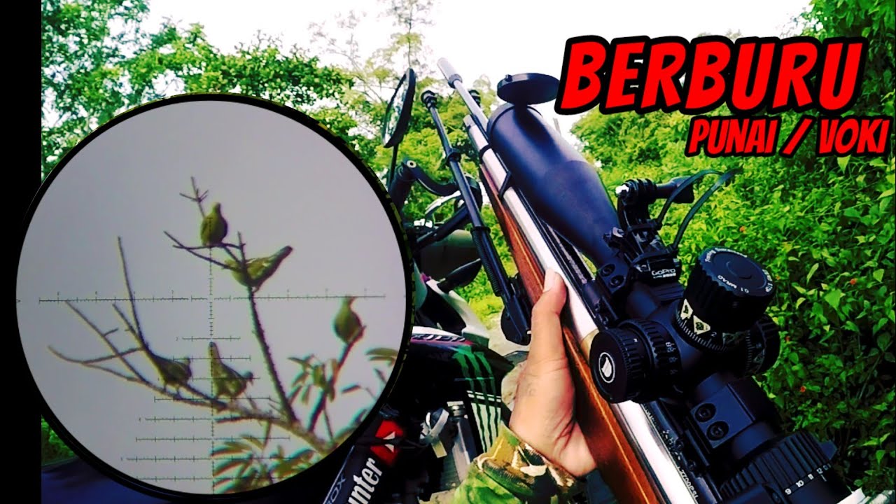BERBURU PUNAI DiSPOT TAK TERDUGA,,,!!! Part 2 