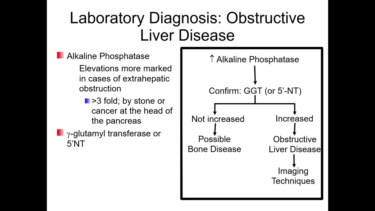 Clinical Chemistry: Markers of Hepatic Function
