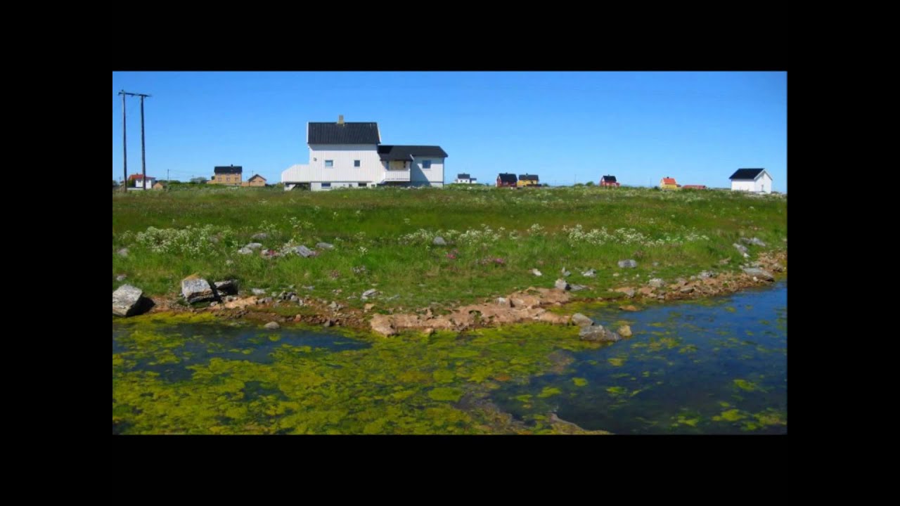 Røst juni 2012