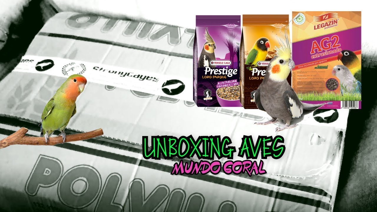 UNBOXING ALIMENTACIÓN Y ACCESORIOS | MUNDO GORAL