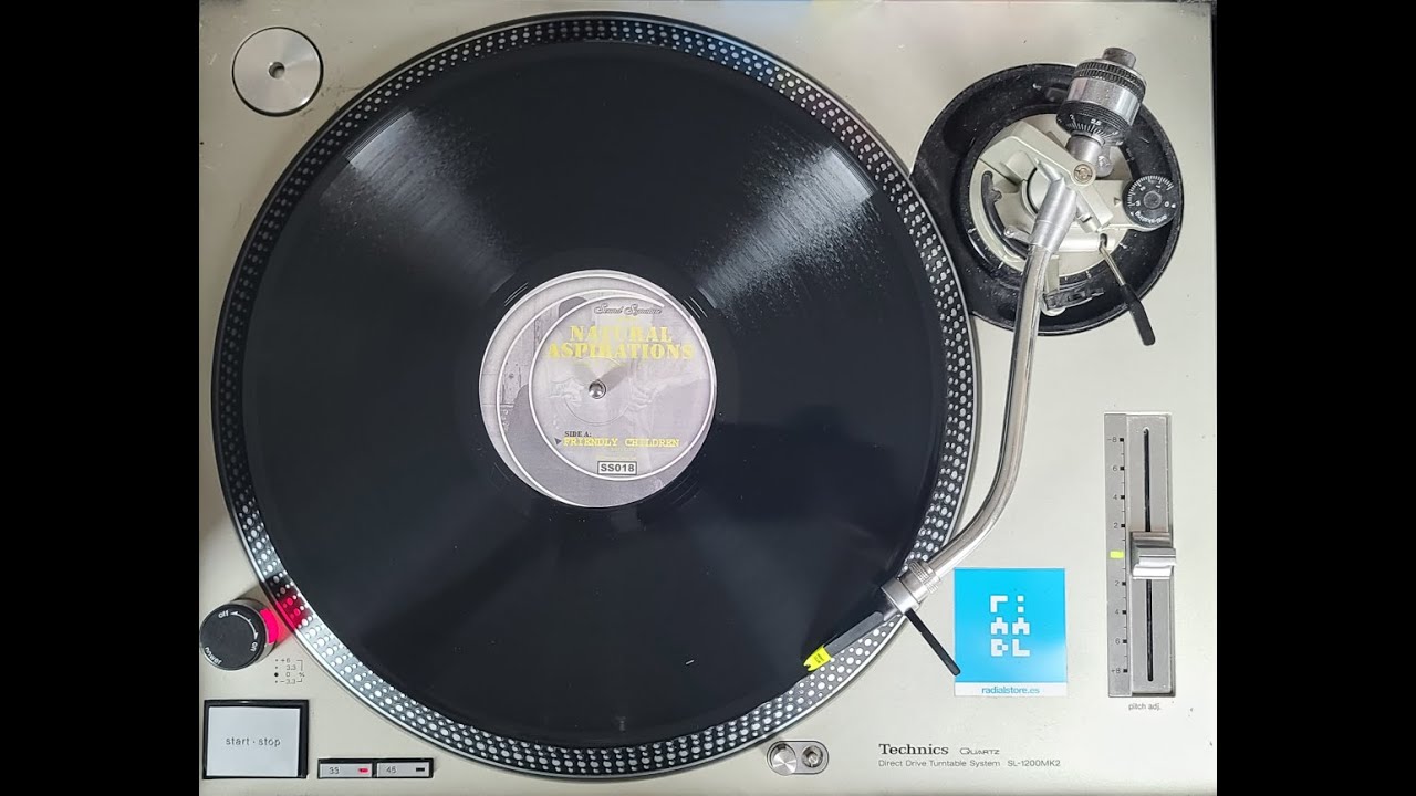 Theo Parrish – Natural Aspirations (Vinyl Vers. Pt. 1)