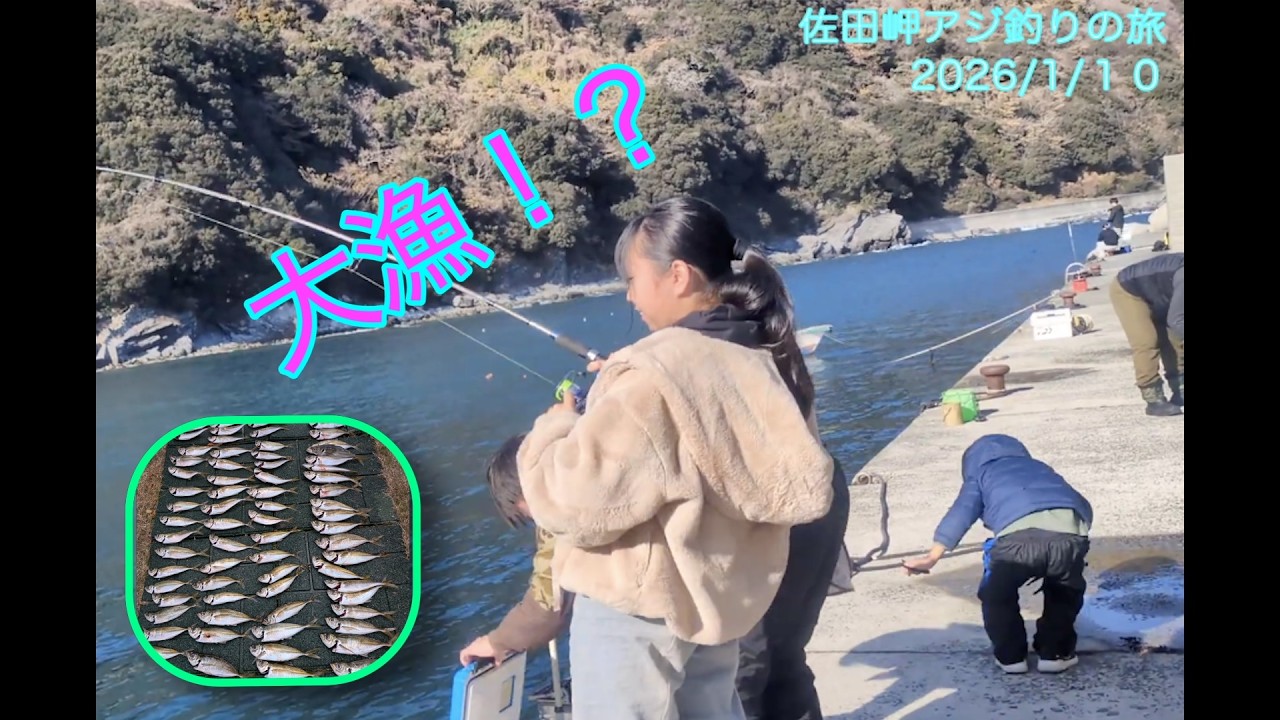 佐田岬アジ釣りの旅