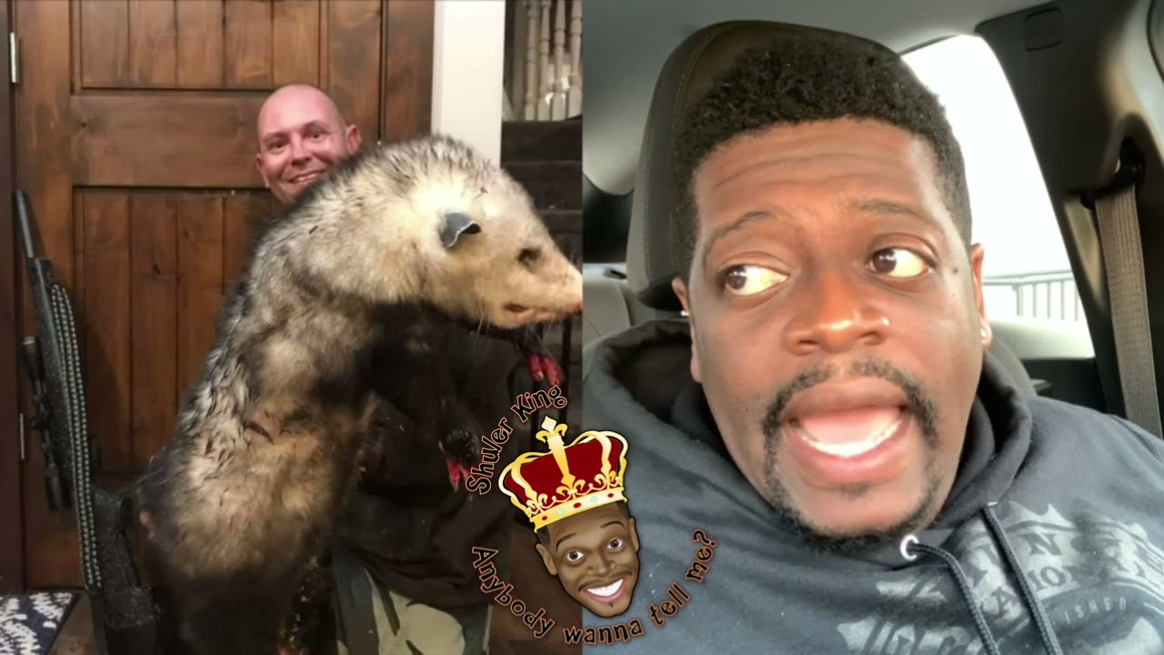Shuler King - The Possum Can Have The House