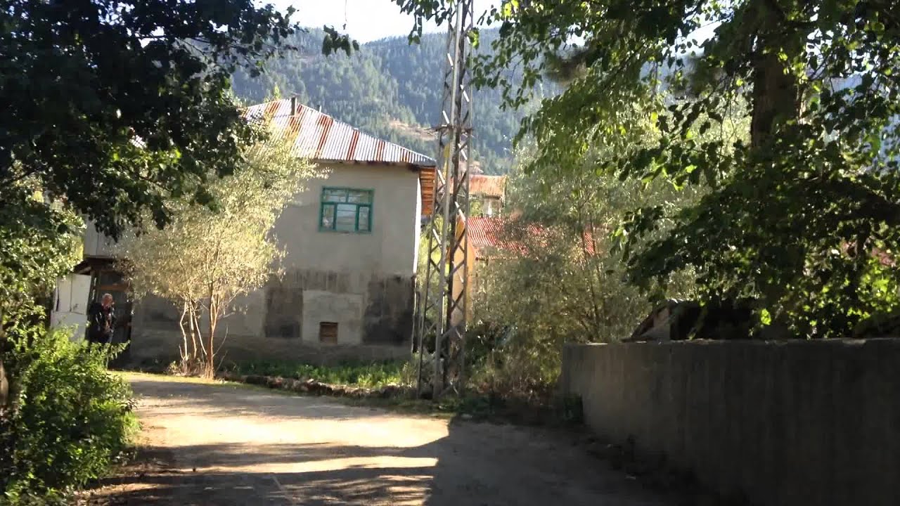 Fındık guaje