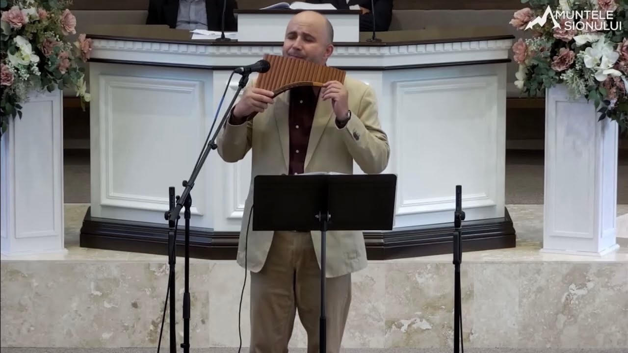Tu ai promis că sătura-vei - Viorel Manolache