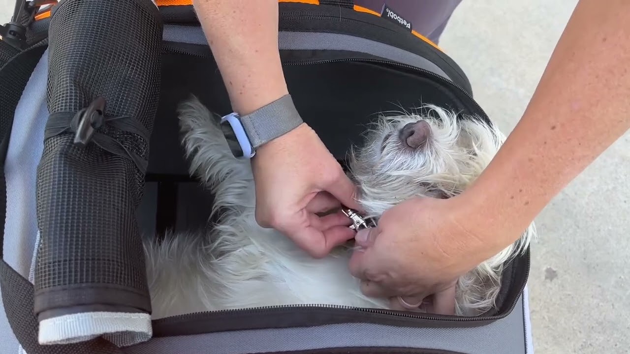 Pet Stroller