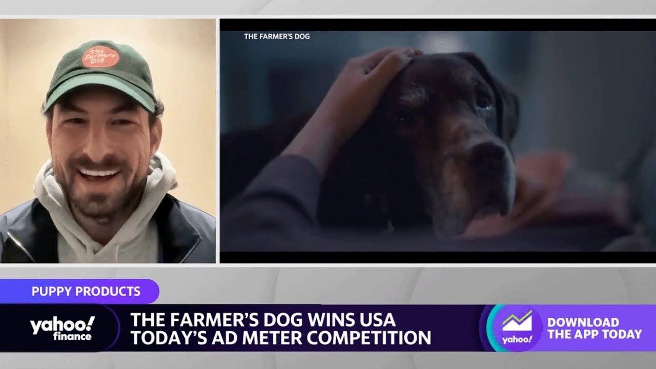 Farmer’s Dog Super Bowl ad was ‘a perfect spot to connect with people,’ dog owners: CEO