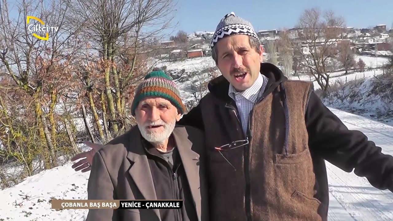 ÇOBANLA BAŞ BAŞA/ÇOBANLARLA BİRLİKTE MERADAYIZ/YENİCE-ÇANAKKALE