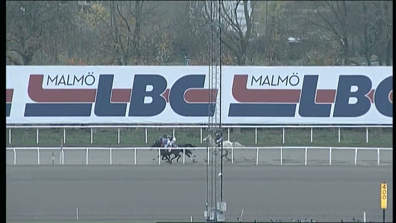 Ponnylopp 2 +3 Amie Noire + Appelina Löpning Kat C+D   Jägersro 2025 11 09