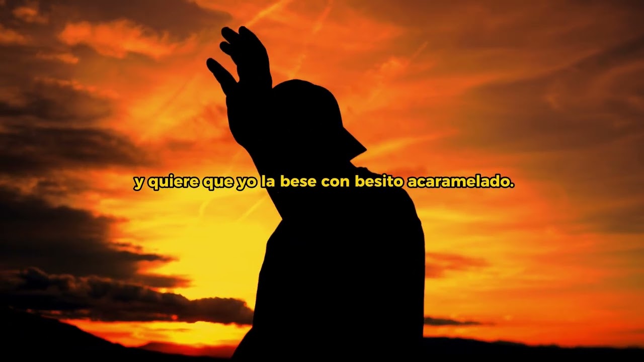 DaniMflow - YO NO ME CASO (Visualizer)