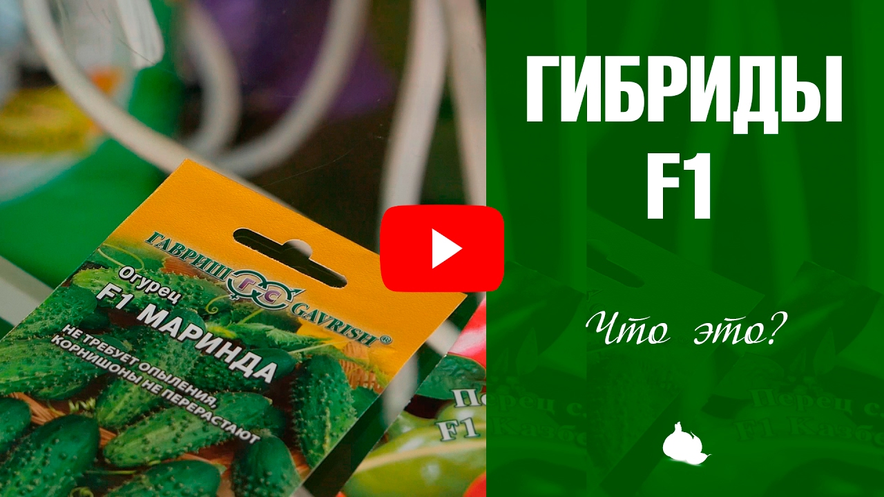 Семена F1 ➡ Что означает эта надпись на упаковке?
