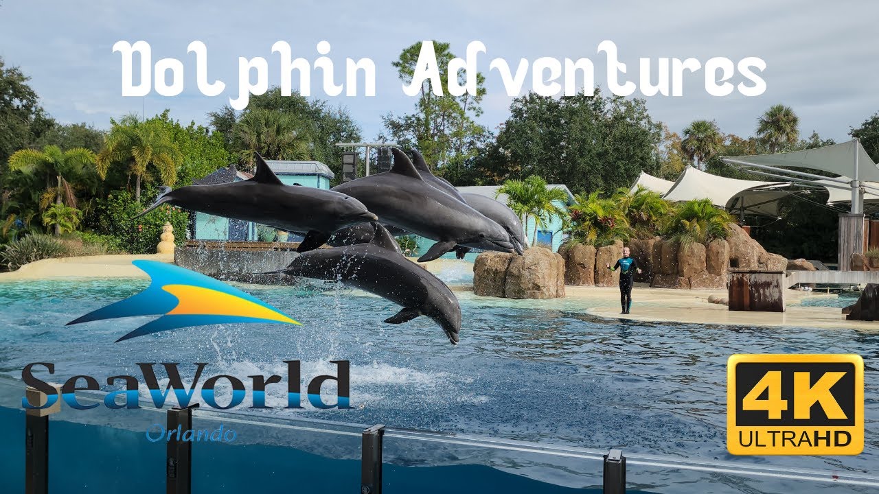 Dolphin Adventures FULL SHOW in 4K SeaWorld Orlando 2023 🐬✨ Must-See Performance!