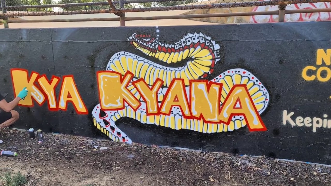 Dumbartung mural painting on the wall of YMCA&rsquo;s Leederville HQ